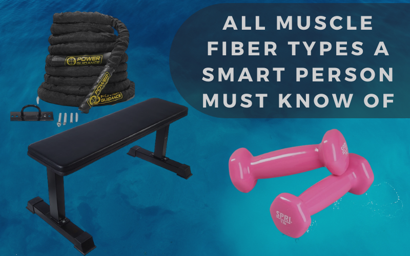 All Muscle Fiber Types A Smart Person Must Know Of