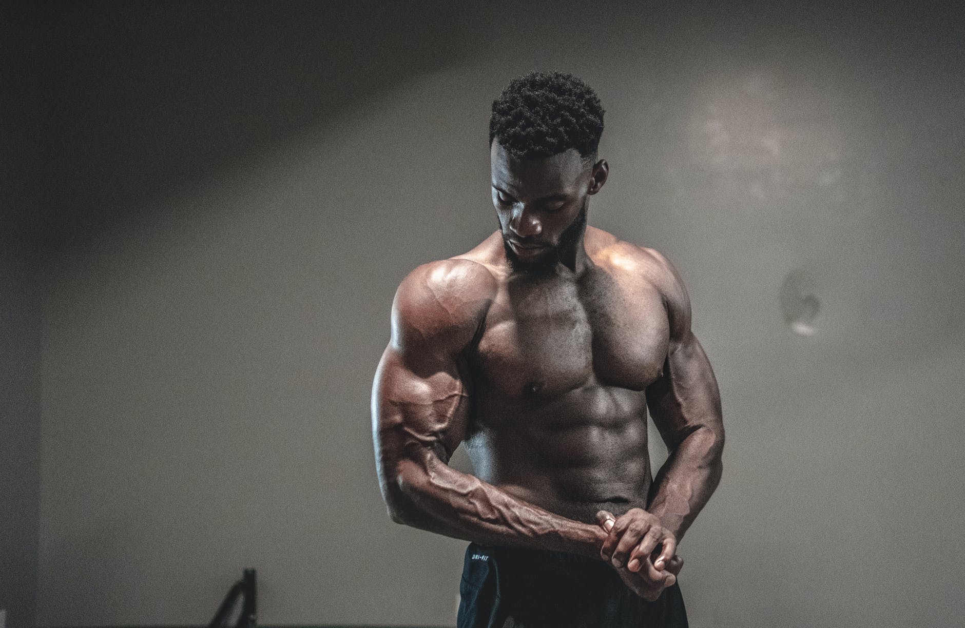 muscle fiber types