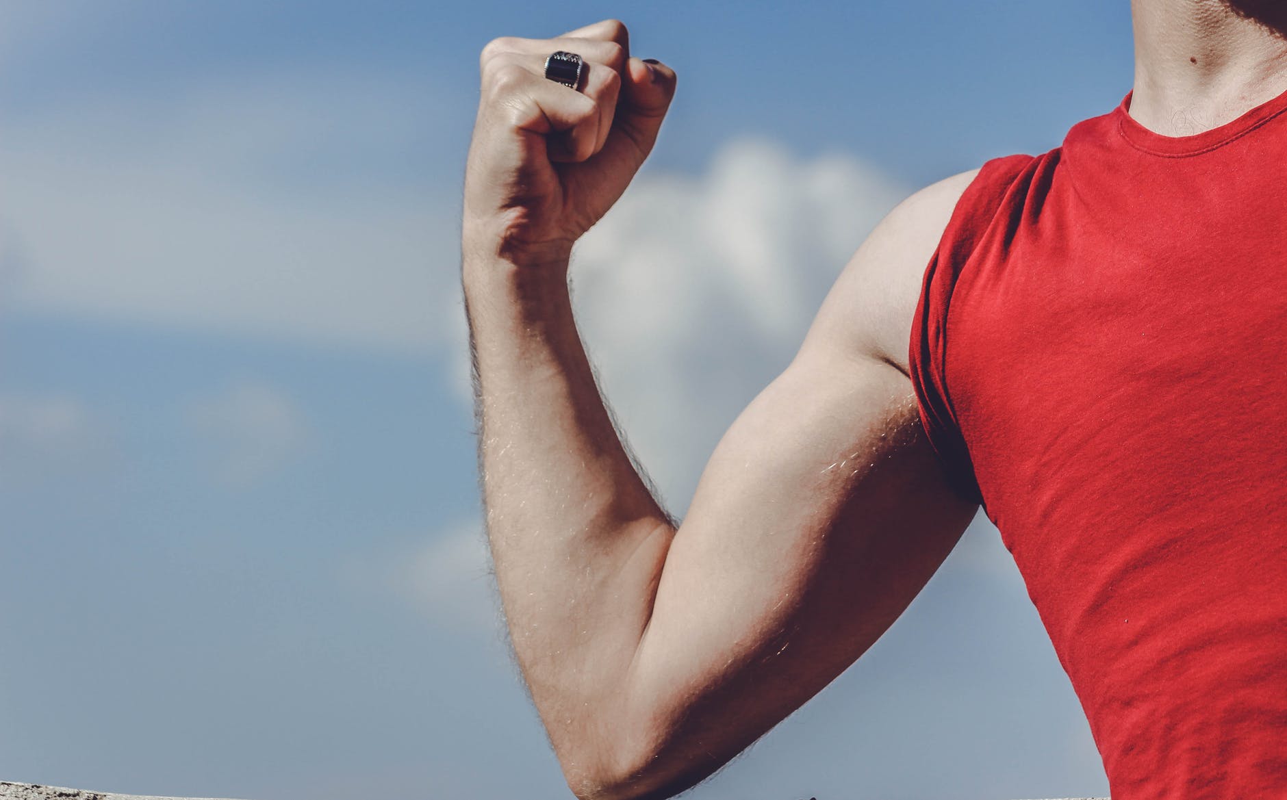muscle fiber types
