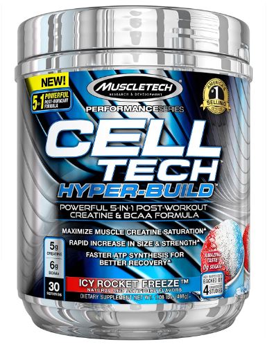 supplement 2 Supplement