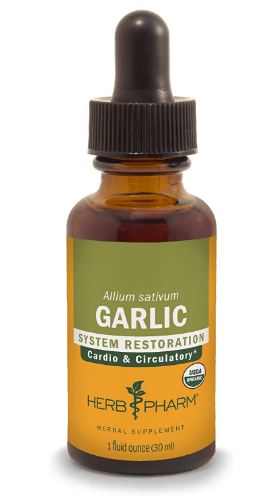 best natural antibiotics