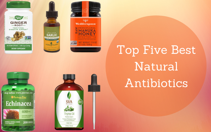 Top Five Best Natural Antibiotics To Your Rescue.