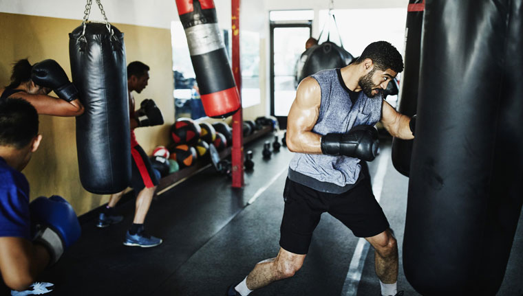11 Best Punching Bags In 2022