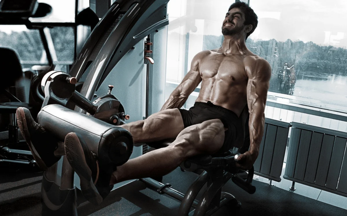 Leg Extension