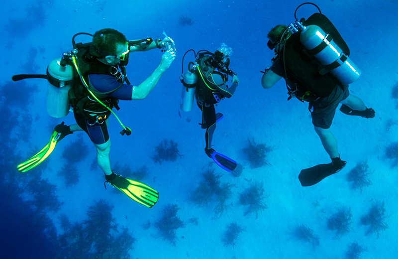  scuba accessories