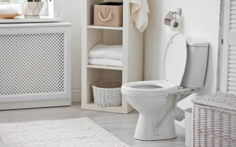 Navigating Allergies: Cleaning Your BBL Toilet Pillow